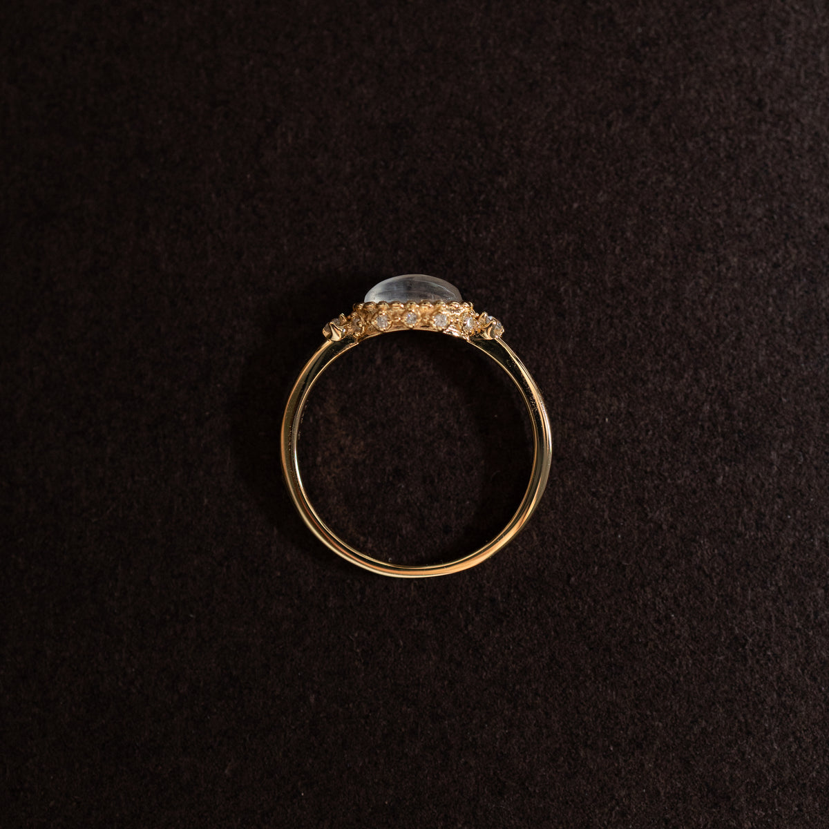 THE HALO OVAL RING - MOONSTONE