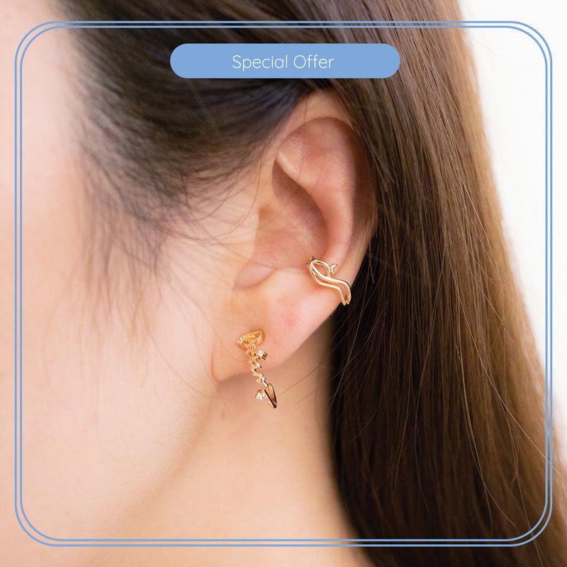Special earrings set combo 09