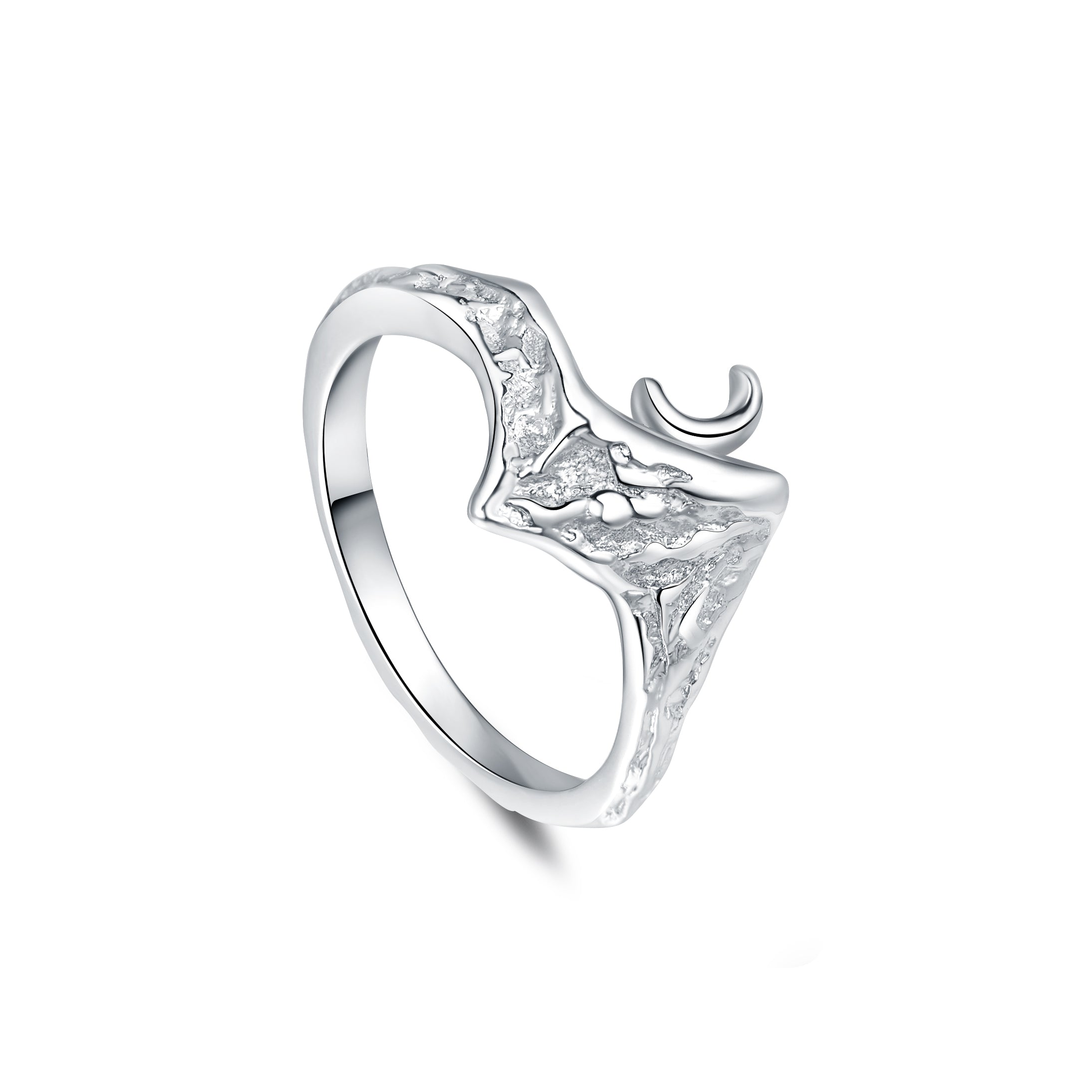 NIGHT MOUNTAIN SILVER RING